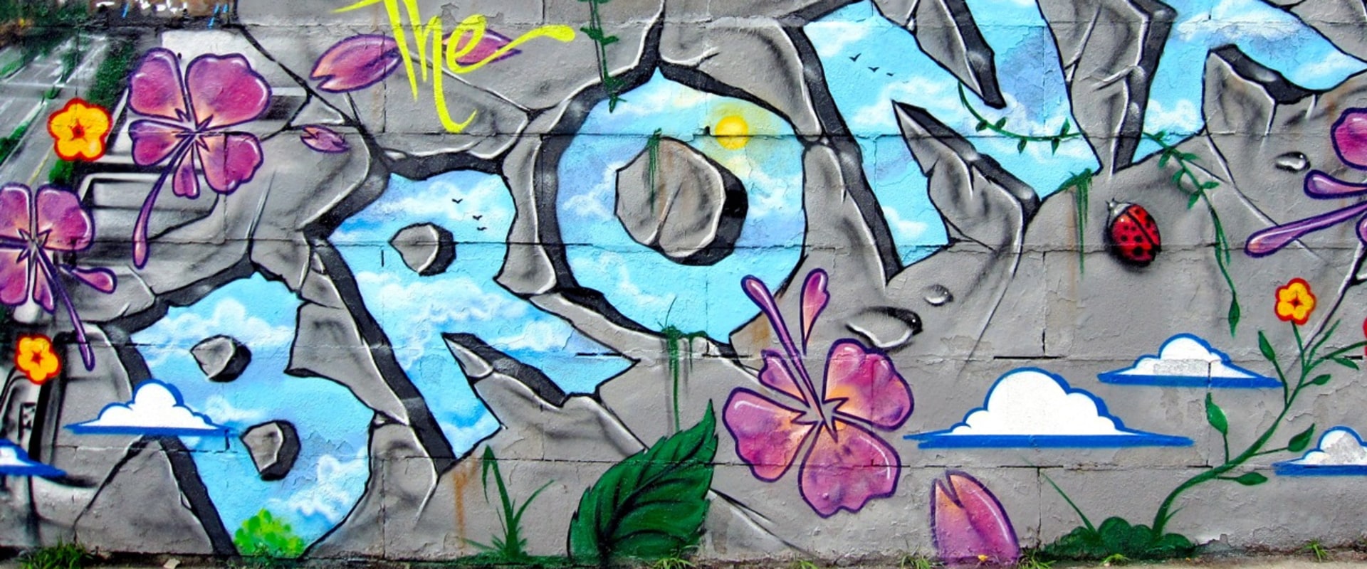 The Impact of Healthcare Access on Women's Rights in the Bronx, NY: An Expert's Perspective