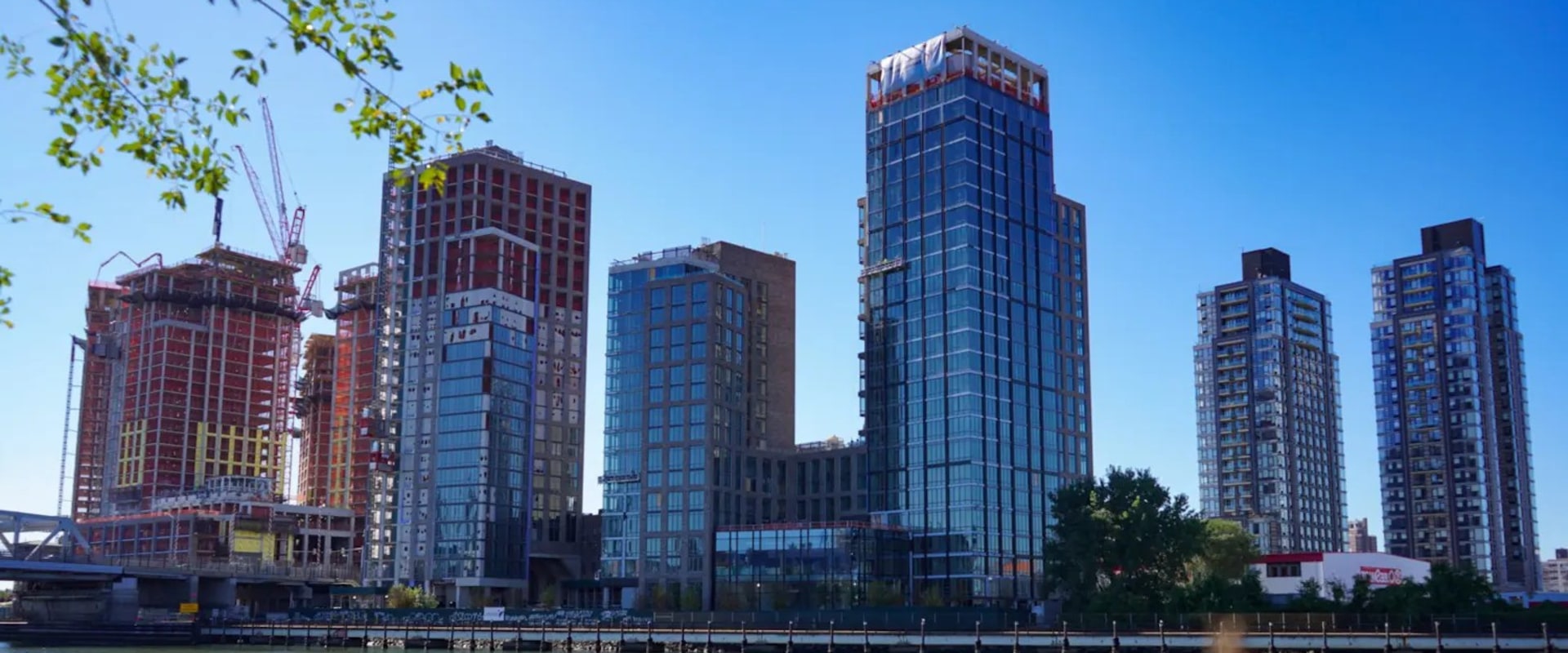 The Impact of Gentrification on Women's Rights in the Bronx, NY: An Expert's Perspective