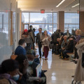 The Power of Legal Services for Women's Rights in the Bronx, NY