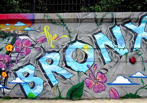 The Impact of Healthcare Access on Women's Rights in the Bronx, NY: An Expert's Perspective